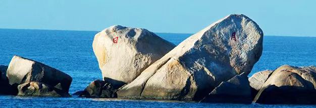 c73f968a70509632854148a9c0457a2d